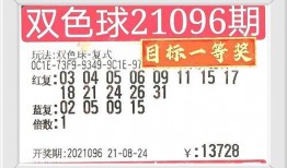 湛江今日一线爆料号码,神秘爆料号码背后的惊人真相